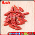 Bagas de goji orgânico cru goji berry pó benefícios benefícios de bagas de goji secas